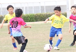 �X�|�����