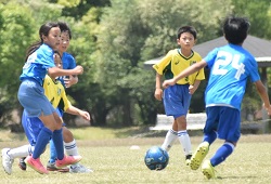 ���K����