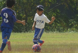 ������t�F�X�e�B�o��