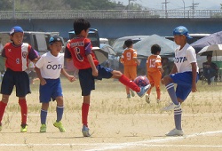 ������t�F�X�e�B�o��