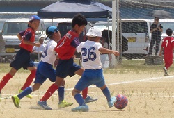 ������t�F�X�e�B�o��