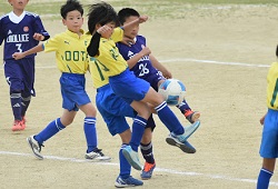 ���W���j�A���[�O