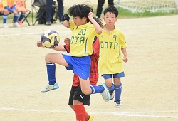 ���W���j�A���[�O