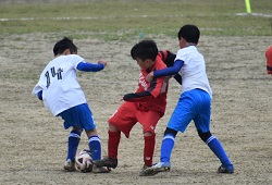 ���W���j�A���[�O