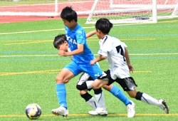 ���W���j�A���[�O