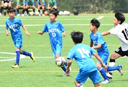 ���W���j�A���[�O