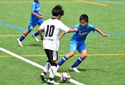 ���W���j�A���[�O