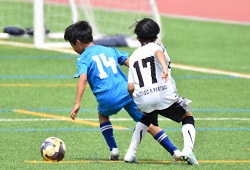 ���W���j�A���[�O