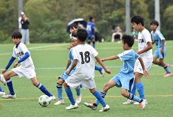 ���W���j�A���[�O