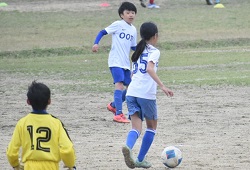 ���W���j�A���[�O