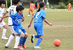 ���W���j�A���[�O