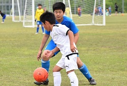 ���W���j�A���[�O