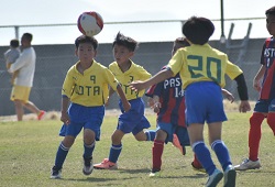 ���K����