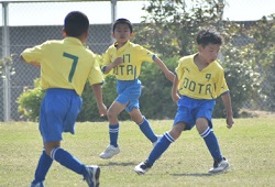 ���K����