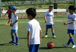 ���K����