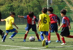 ���K����