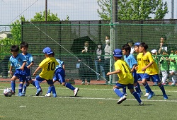 ���K����